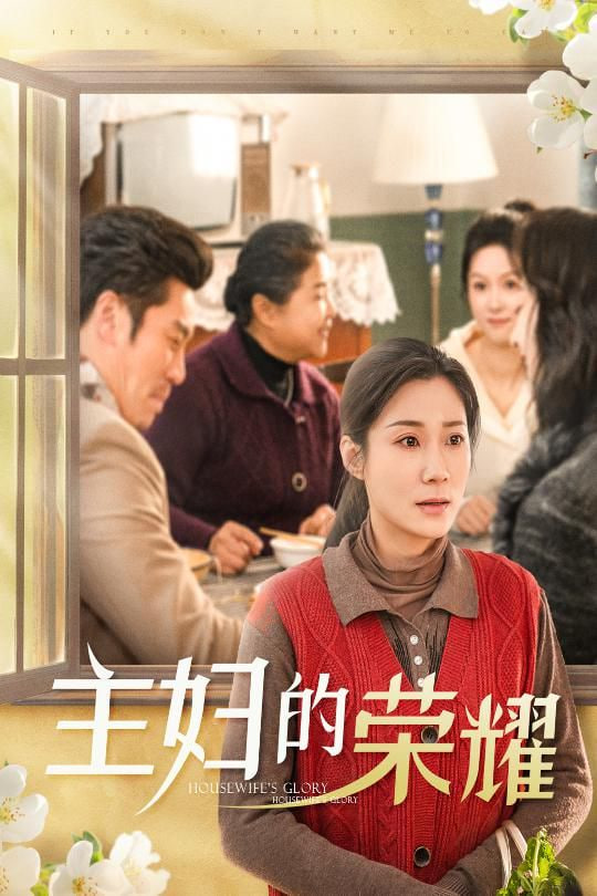 主妇的荣耀-万家灯火无我一盏封面