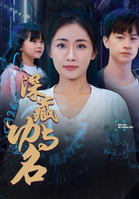 深藏功与名封面
