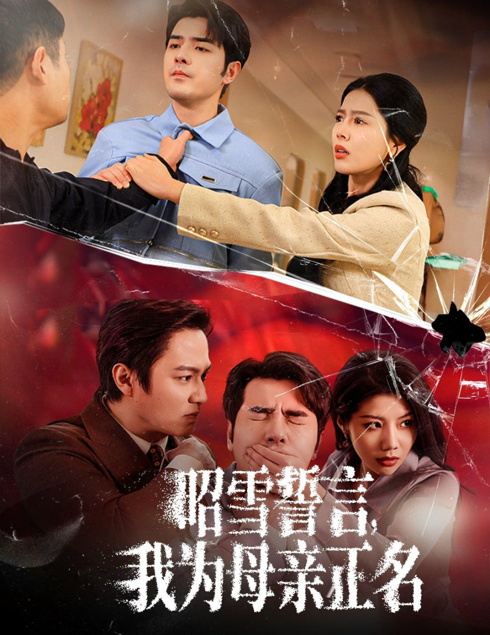 昭雪誓言我为母亲正名封面