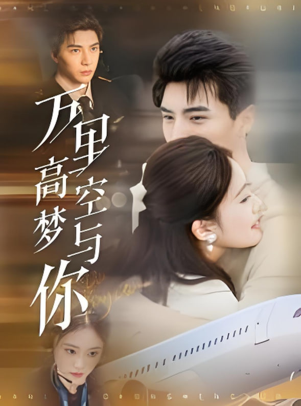万里高空梦与你封面