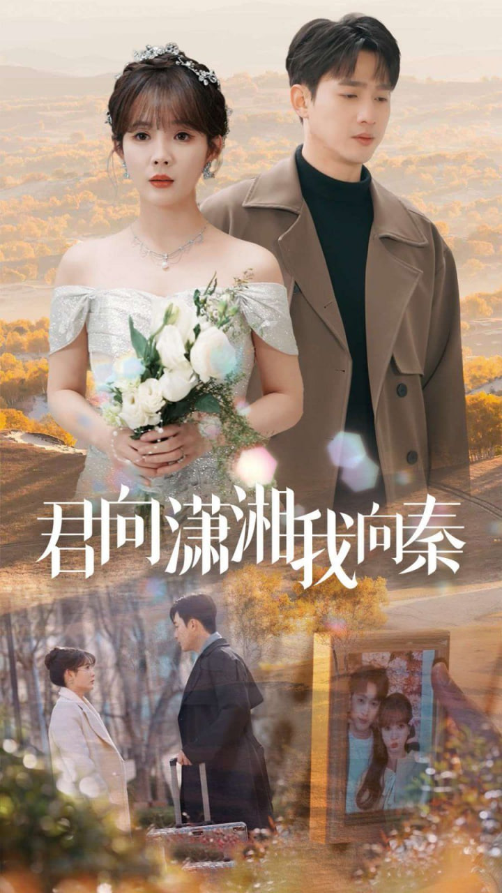 君向潇湘我向秦封面