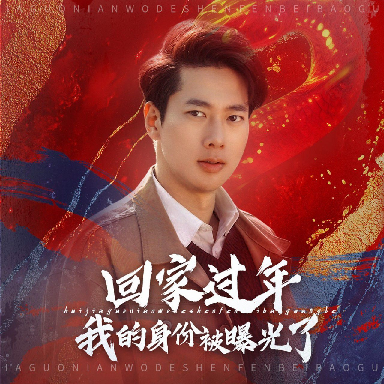 回家过年我的身份被曝光了封面