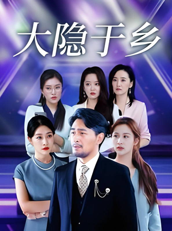 大隐于乡封面