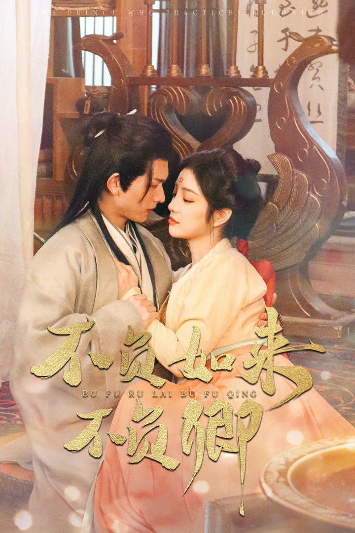 不负如来不负卿 2025封面