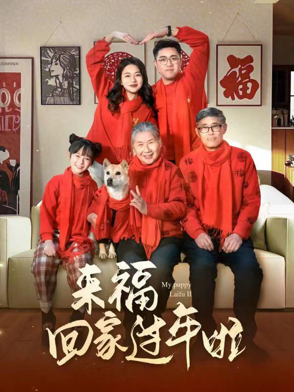 来福回家过年啦封面