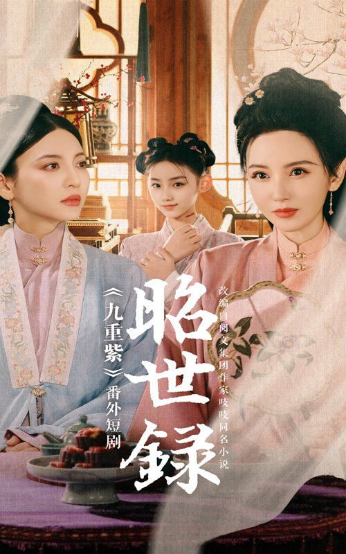 昭世录封面