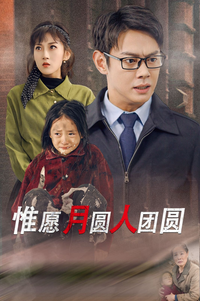 惟愿月圆人团圆封面