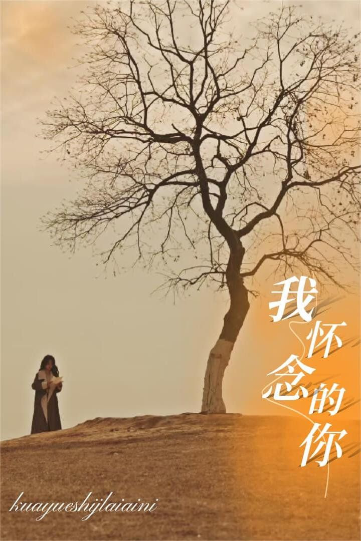 我怀念的你封面