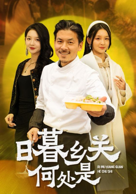 日暮乡关何处是封面