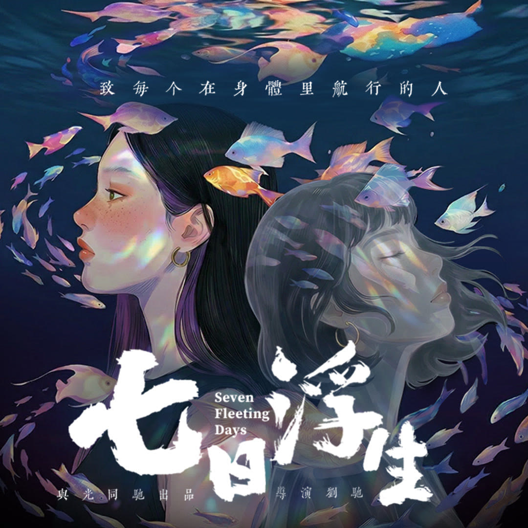 七日浮生封面