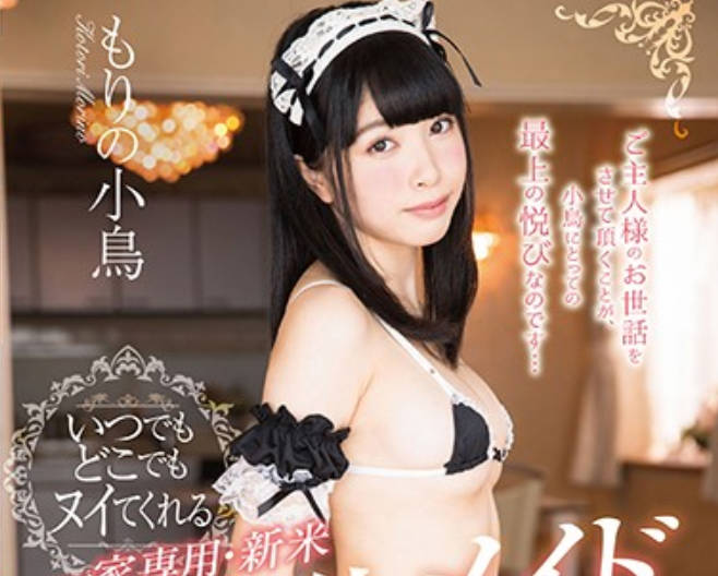 star-746 家庭新女仆-もりの小鳥 