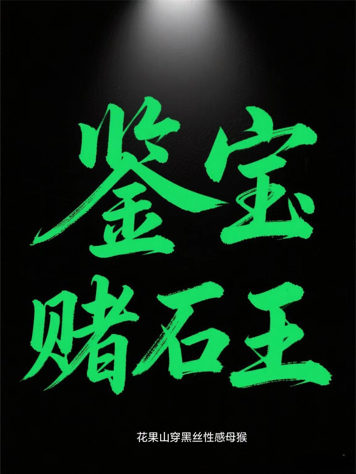 鉴宝赌石王
