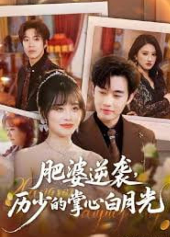肥婆逆袭，厉少的掌心白月光封面