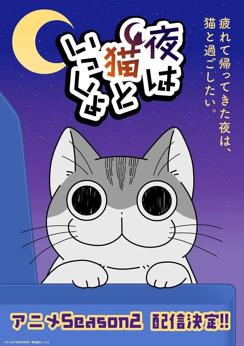 关于养猫我一直是新手 第二季封面