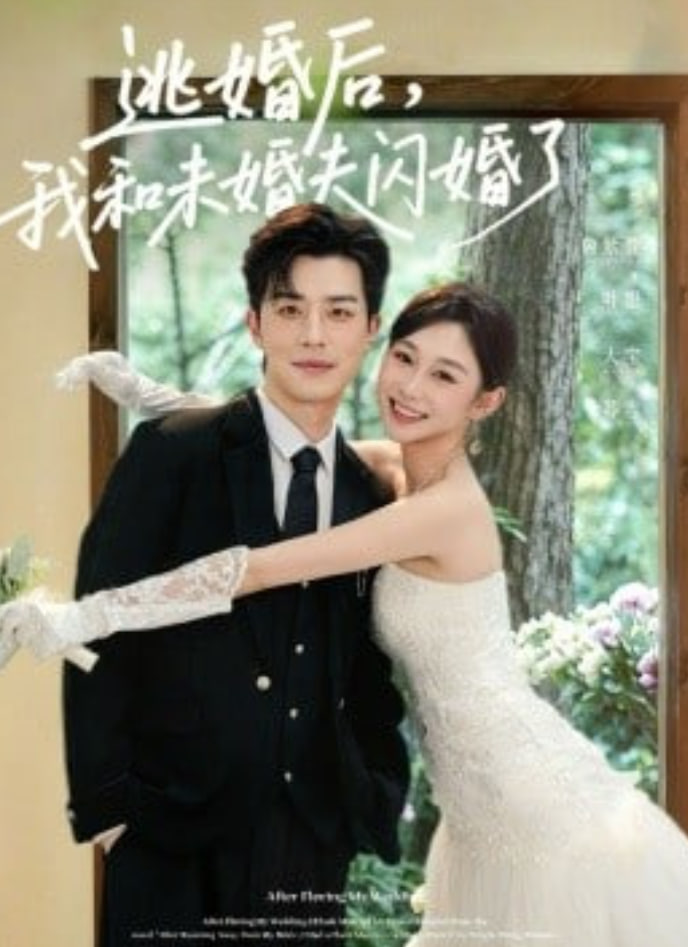 逃婚后，我和未婚夫闪婚了封面