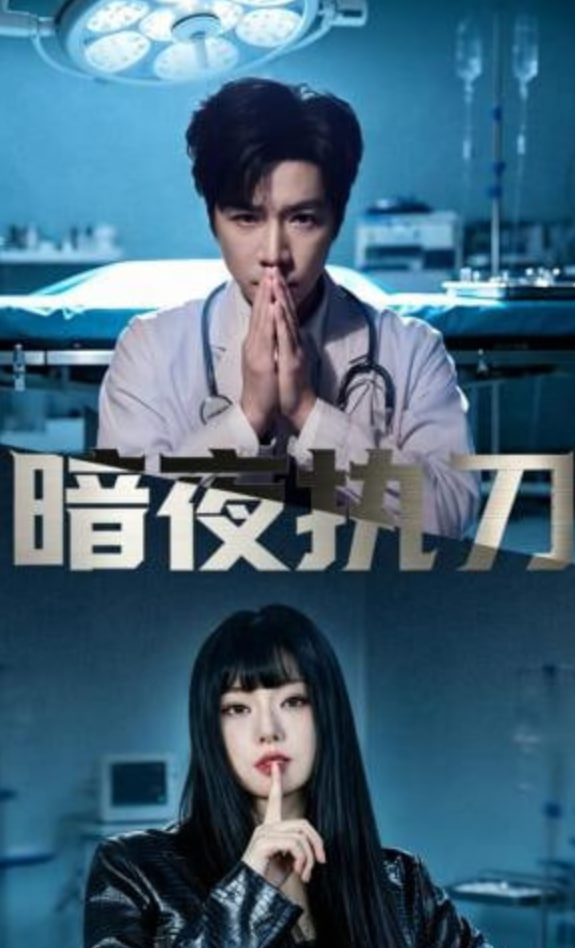 暗夜执刀封面
