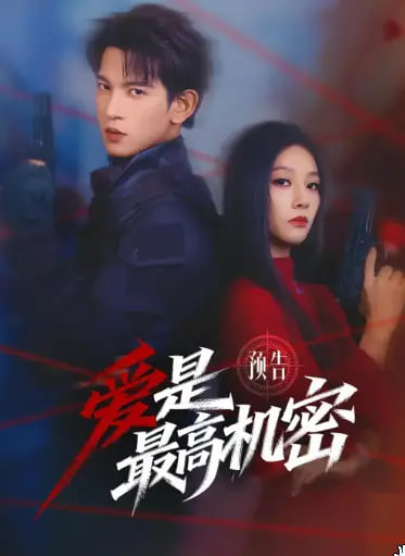 爱是最高机密封面