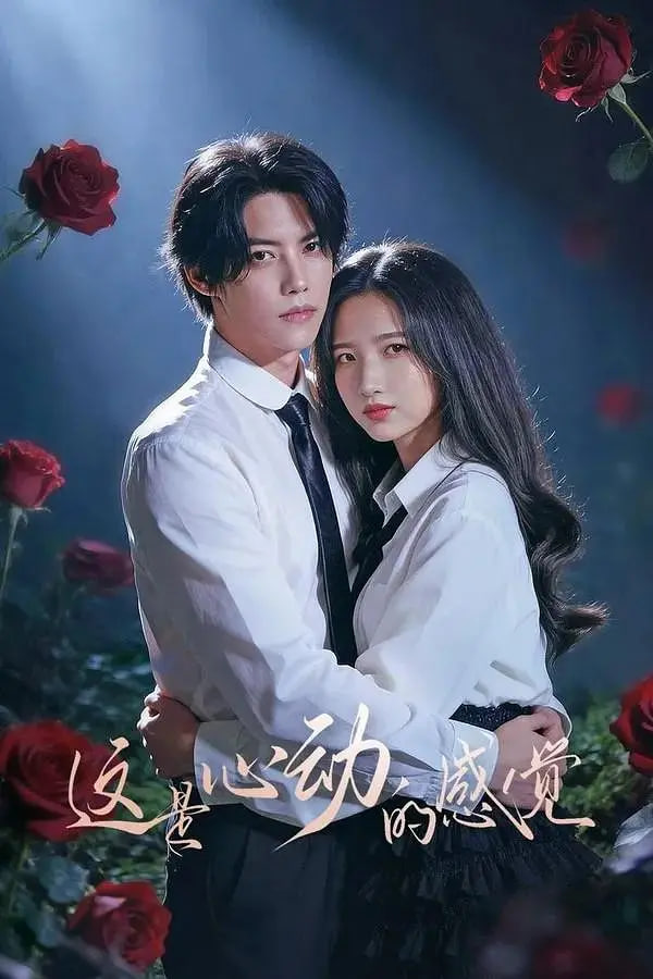 这是心动的感觉封面