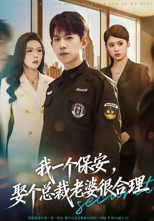 我一个保安，娶个总裁老婆很合理封面