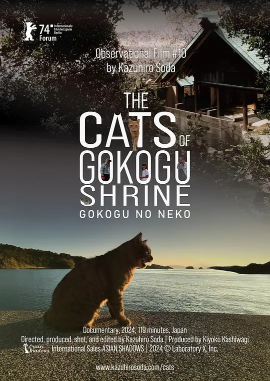 五香宫的猫封面