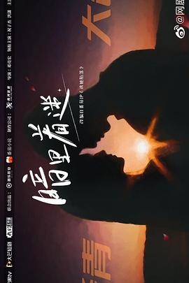 暗里着迷封面