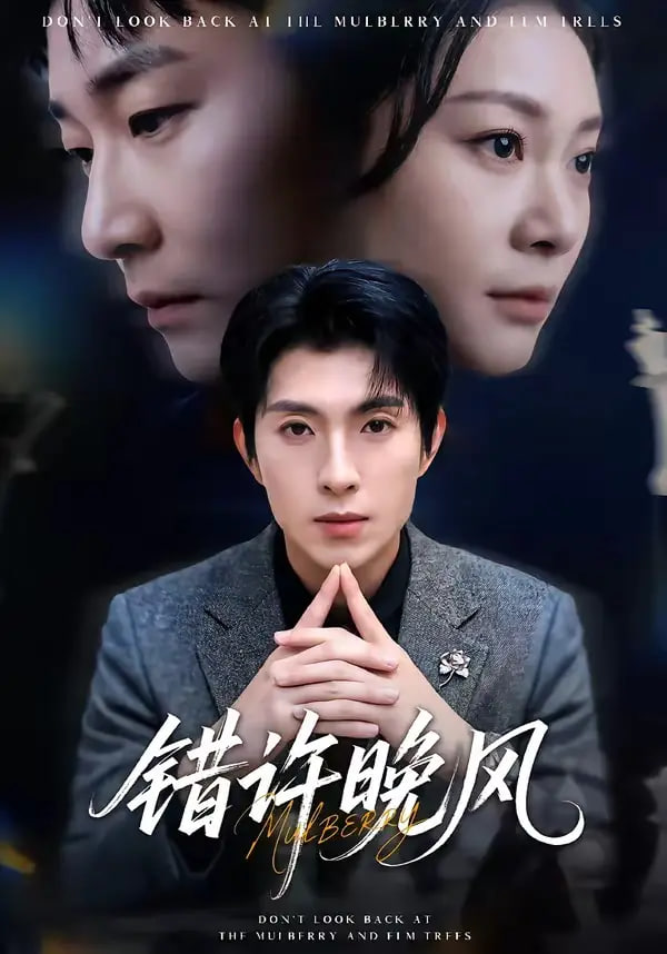 错许晚风封面