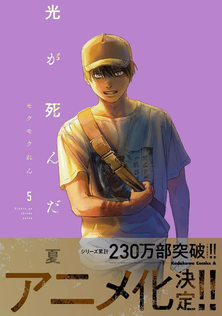光逝去的夏天封面
