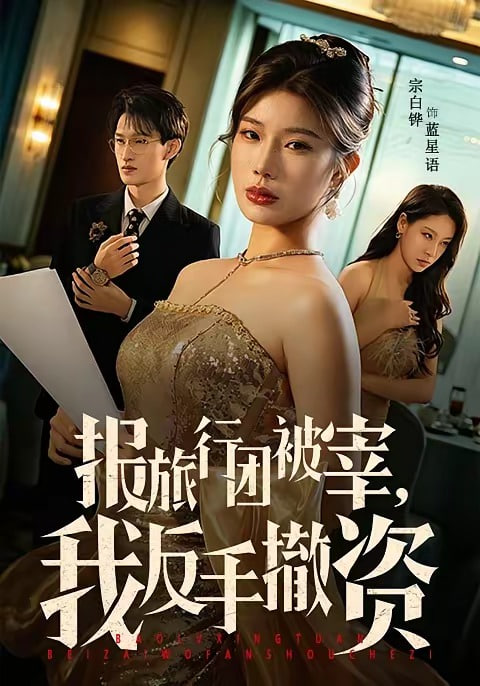 报旅行团被宰，我反手撤资封面