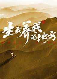生我养我的地方封面