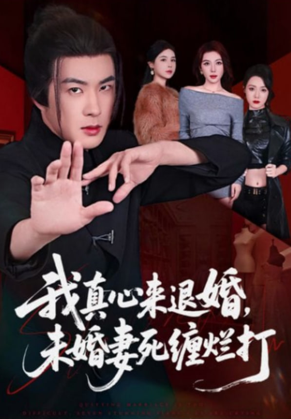 我真心来退婚，未婚妻死缠烂打封面