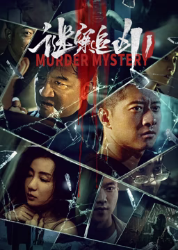 谜案追凶1封面