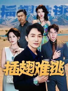 插翅难逃封面