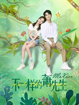不一样的萧先生封面
