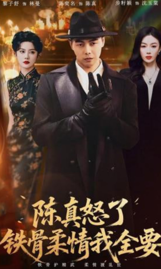 陈真怒了铁骨柔情我全要封面
