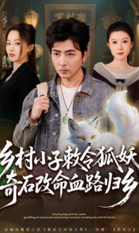 乡村小子敕令狐妖，奇石改命血路归乡封面