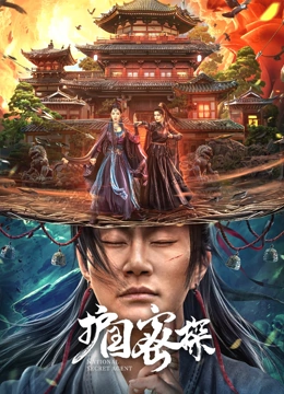护国密探封面