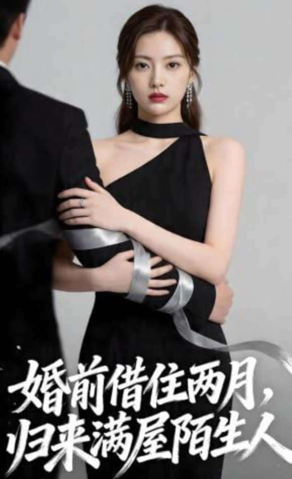 婚前借住两月，归来满屋陌生人封面
