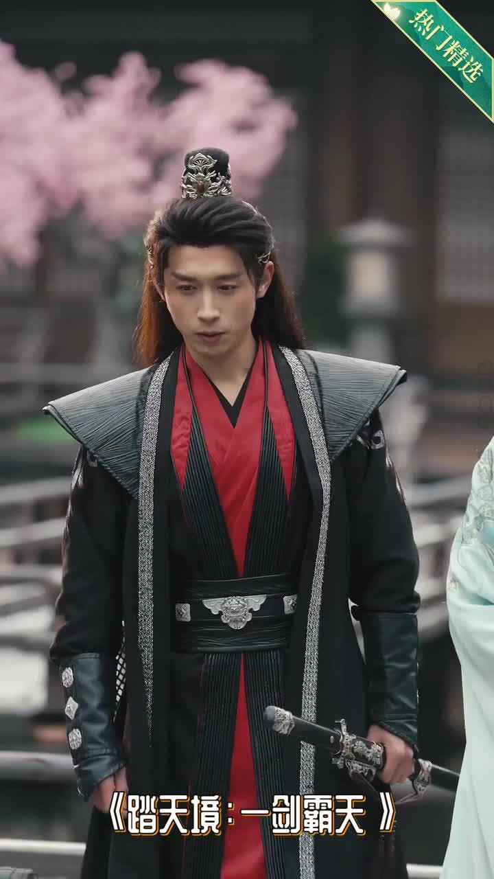 踏天境一剑霸天封面