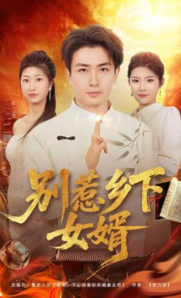 别惹乡下女婿封面