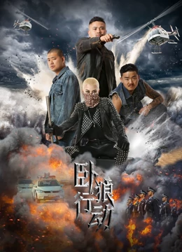 卧狼行动封面