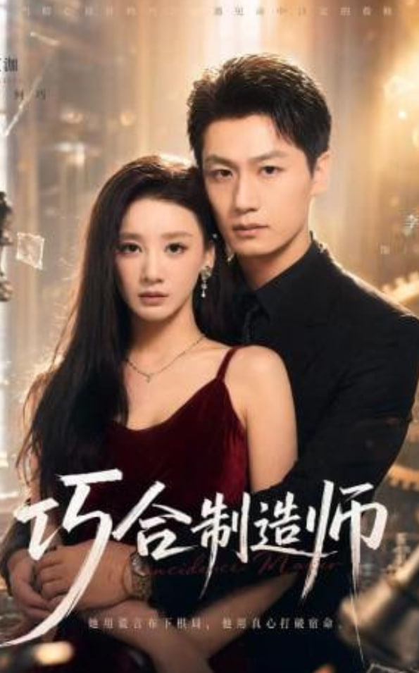 巧合制造师封面