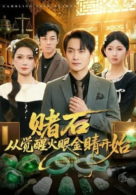 赌石从觉醒火眼金睛开始封面
