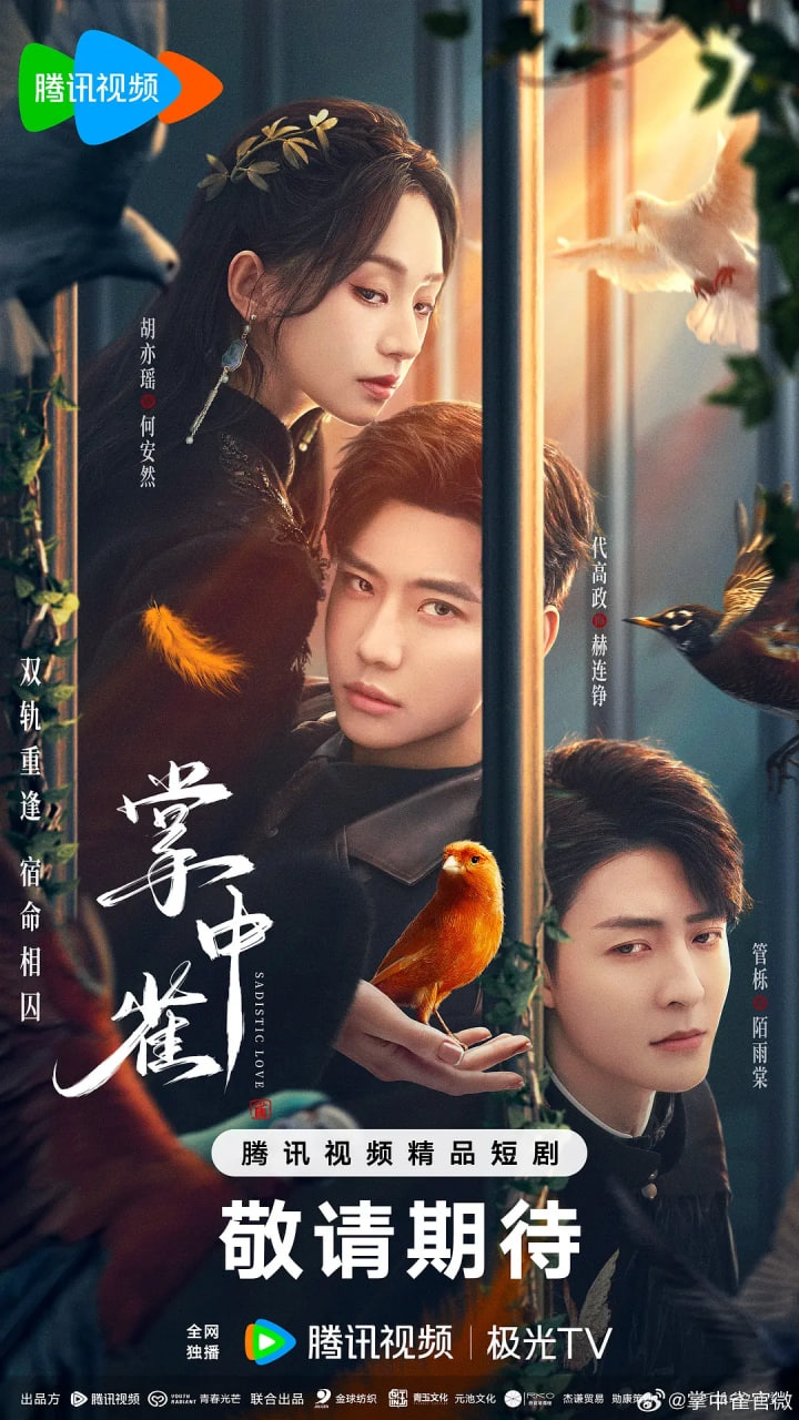 掌中雀封面