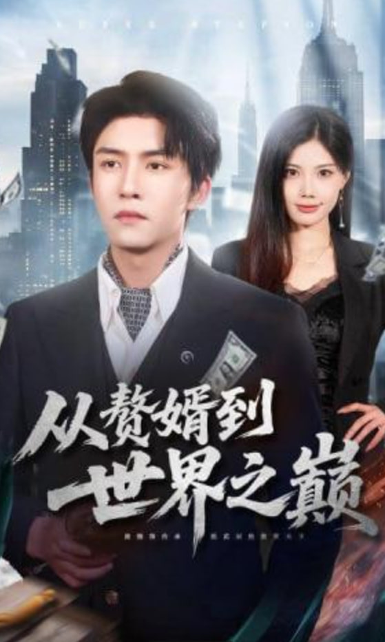 从赘婿到世界之巅封面