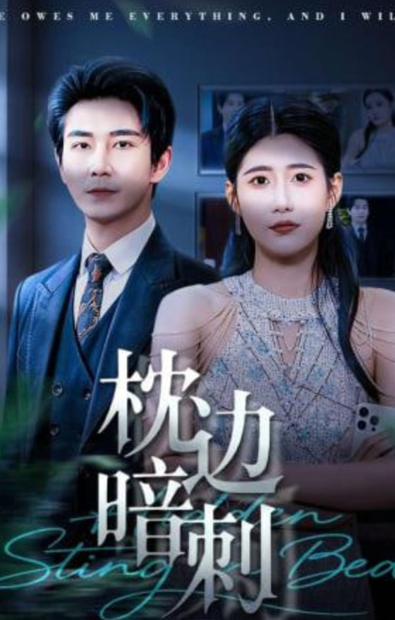 枕边暗刺封面
