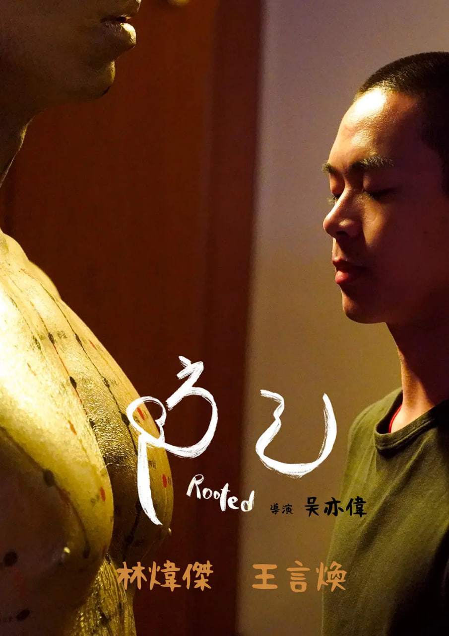 防己封面