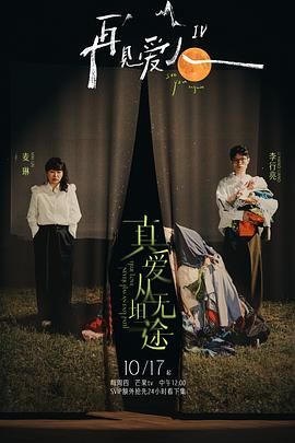再见爱人 第四季封面