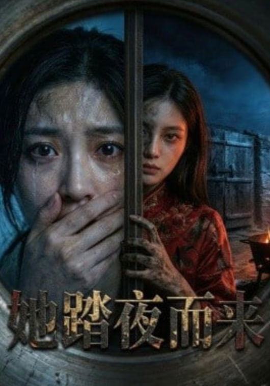 她踏夜而来封面
