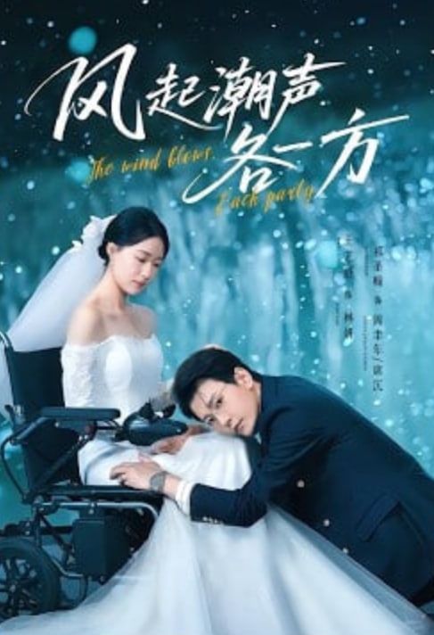 风起潮声各一方封面