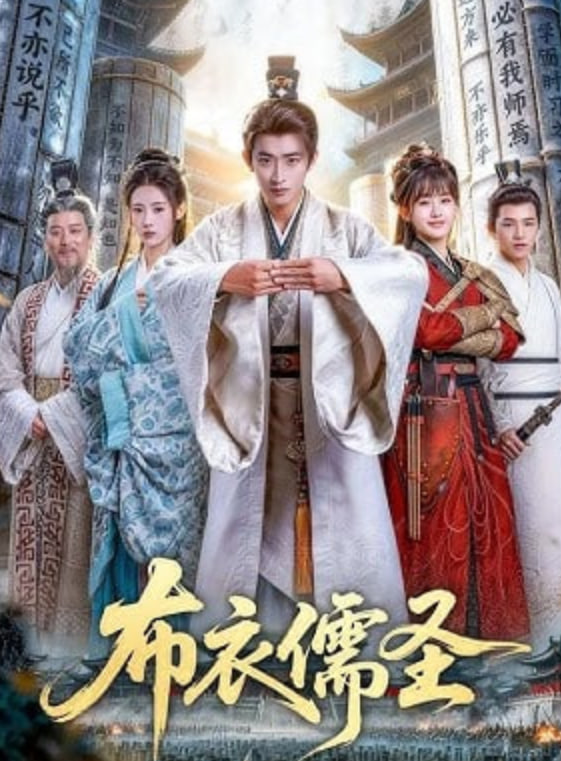布衣儒圣封面